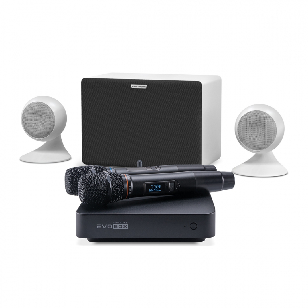 караоке-комплект EVOBOX Classic + EvoSound Sphere 2.1 в Ивановской области