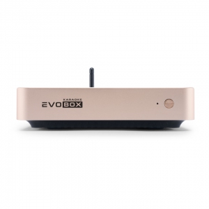 EVOBOX Plus караоке-система для дома в Ивановской области
