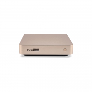 EVOBOX с микрофонами в Ивановской области
